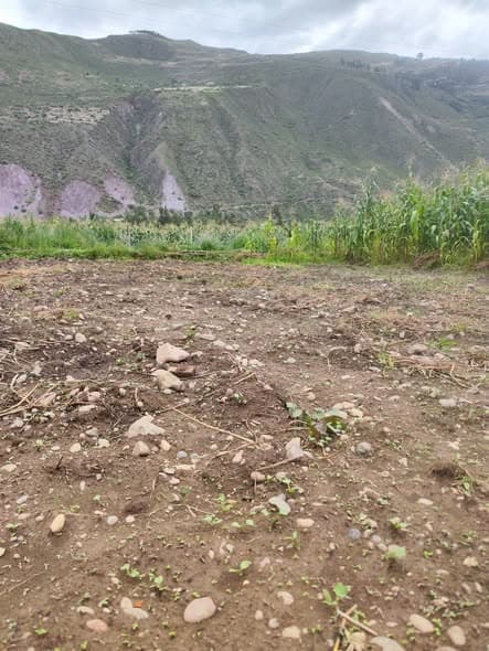 Imagen de Terreno en Venta en Calca